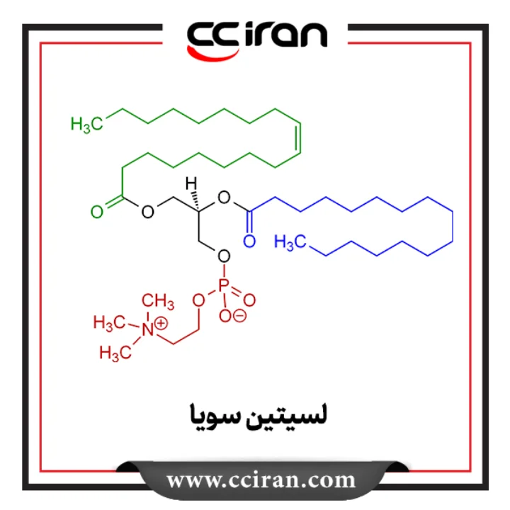 لسیتین سویا