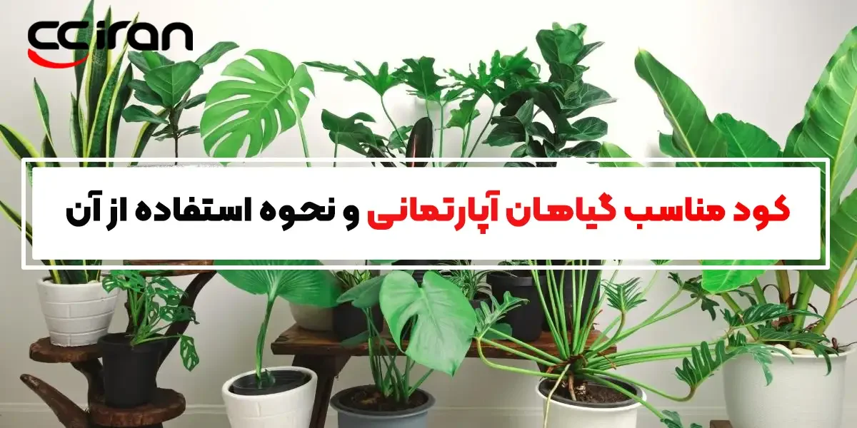 کود مناسب گیاهان آپارتمانی و نحوه استفاده از آن