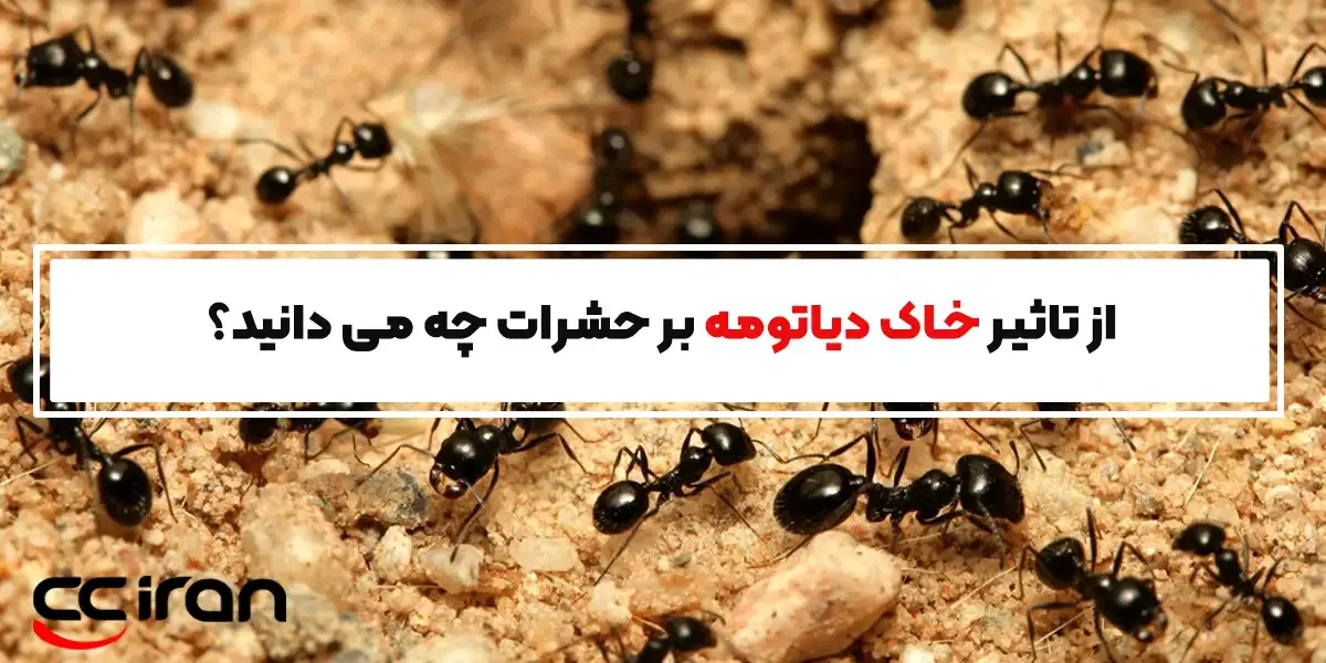 از تاثیر خاک دیاتومه بر حشرات چه می دانید؟