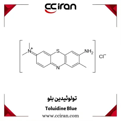 تصویر  تولوئیدین بلو