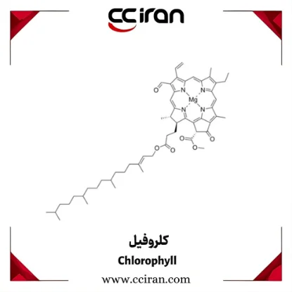 کلروفیل طبیعی استخراج‌شده از گیاهان؛ رنگ‌دانه سبز با کاربرد در صنایع غذایی، دارویی و مکمل‌های سلامت
