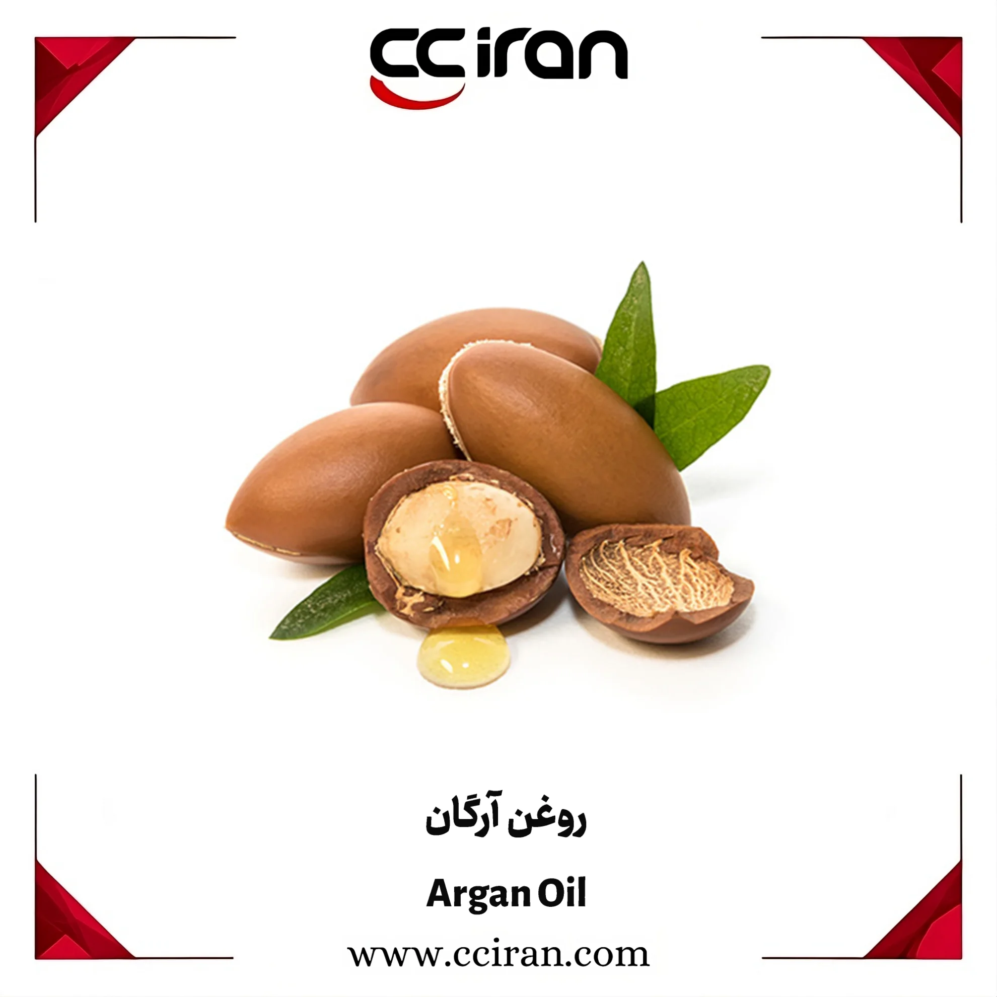 خرید روغن آرگان خالص و طبیعی برای استفاده در محصولات آرایشی و بهداشتی