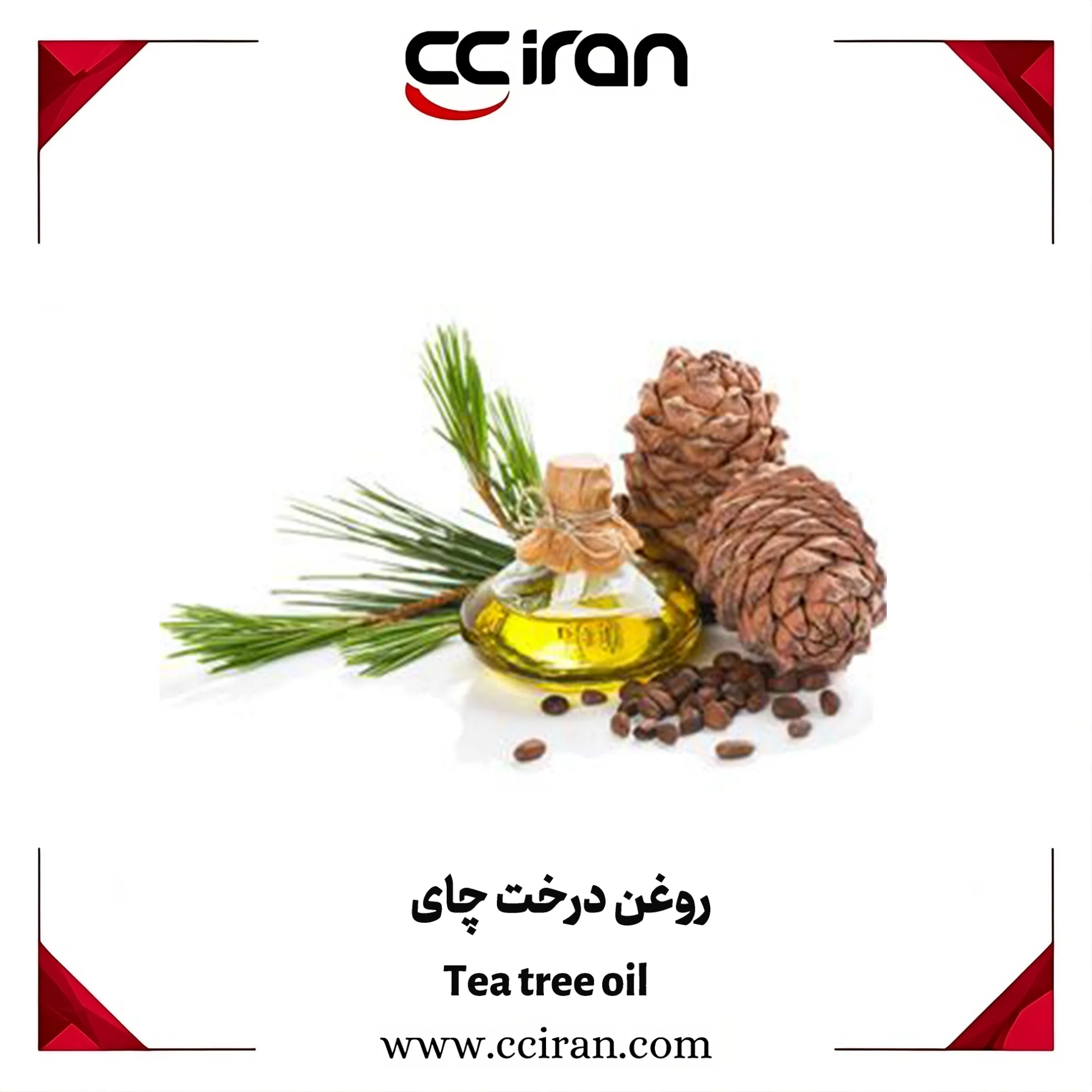 خرید روغن درخت کاج طبیعی برای استفاده در آروماتراپی و مراقبت از پوست