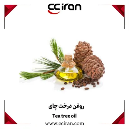 تصویر  روغن درخت کاج