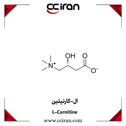 تصویر  ال کارنتین